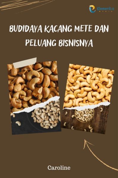 Budidaya Kacang Mete dan Peluang Bisnisnya
